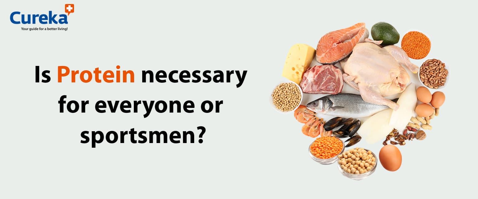 Is Protein Necessary for Everyone or for Sportsmen?