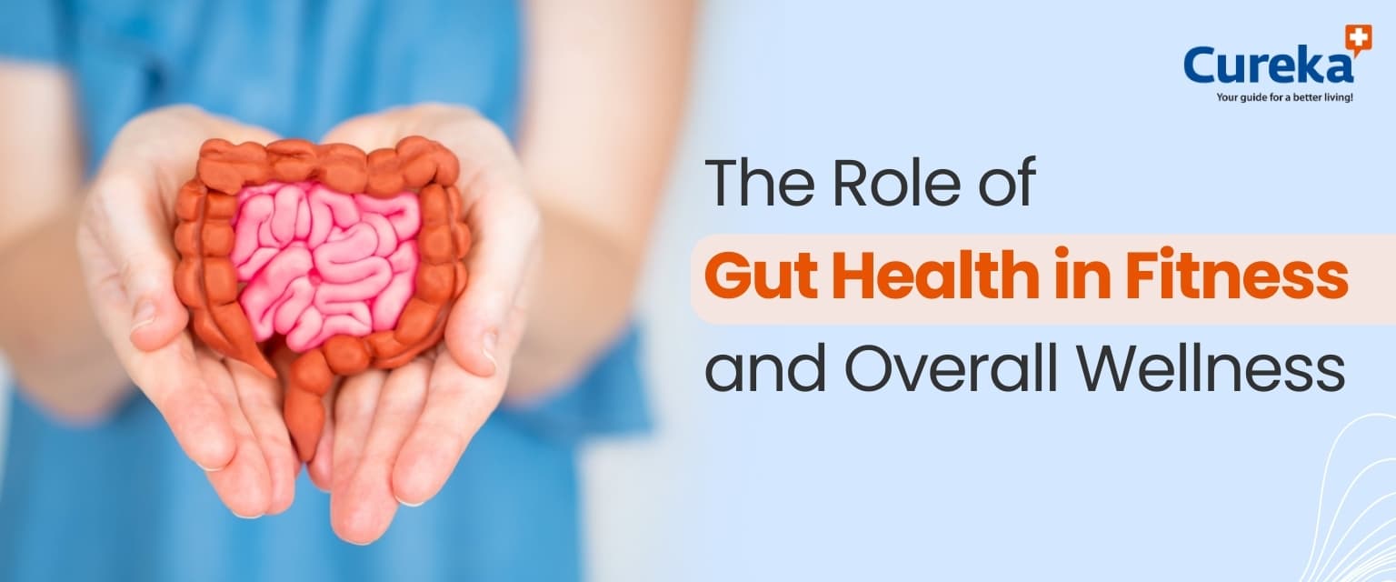 The Role of Gut Health in Fitness and Overall Wellness
