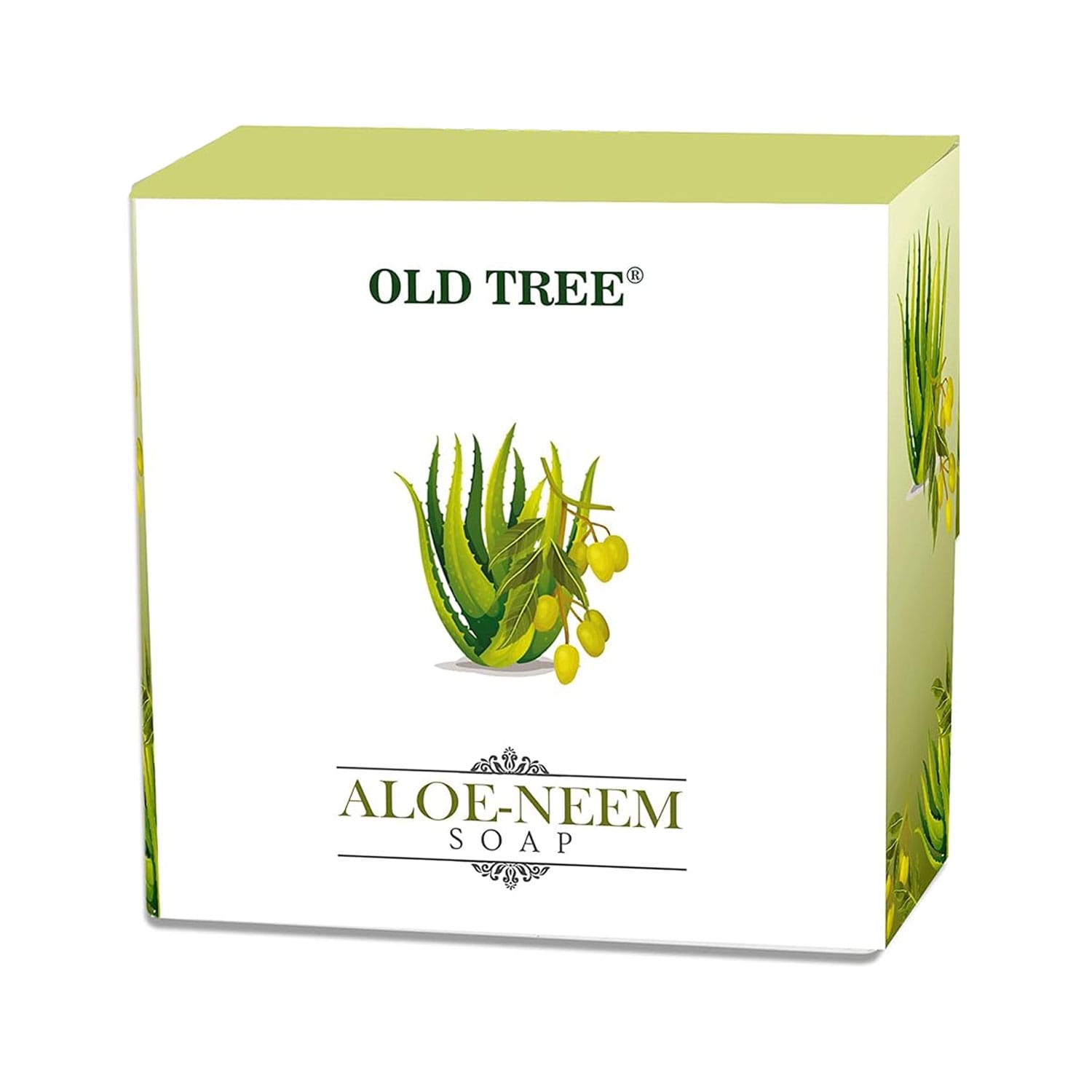 Wellness Agro Aloe Vera Neem Tulsi Herbal Soap - 75g
