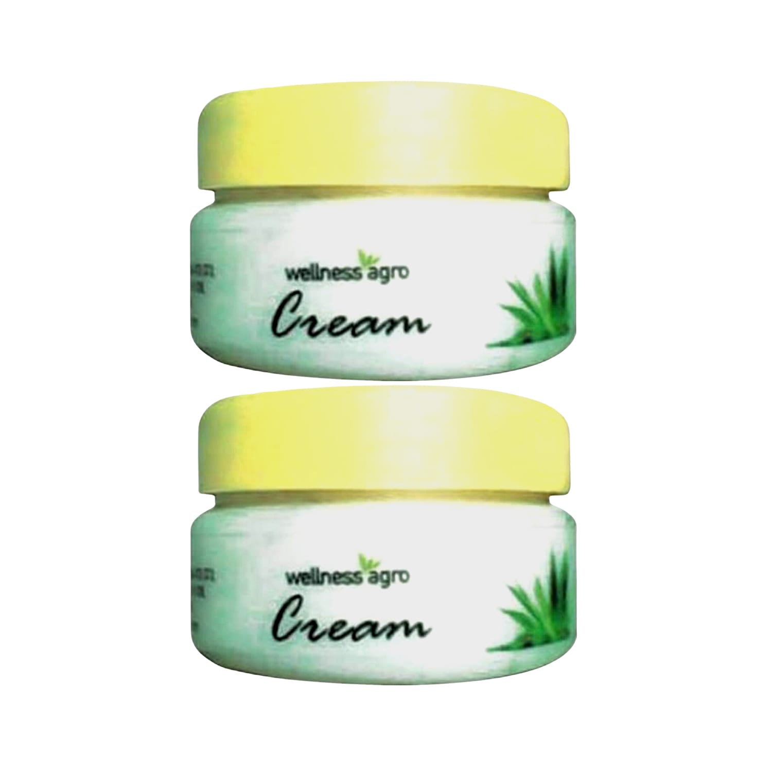 Wellness Agro Aloe Vera Face Pimple Cure Sunscreen 60g - (Pack of 2)