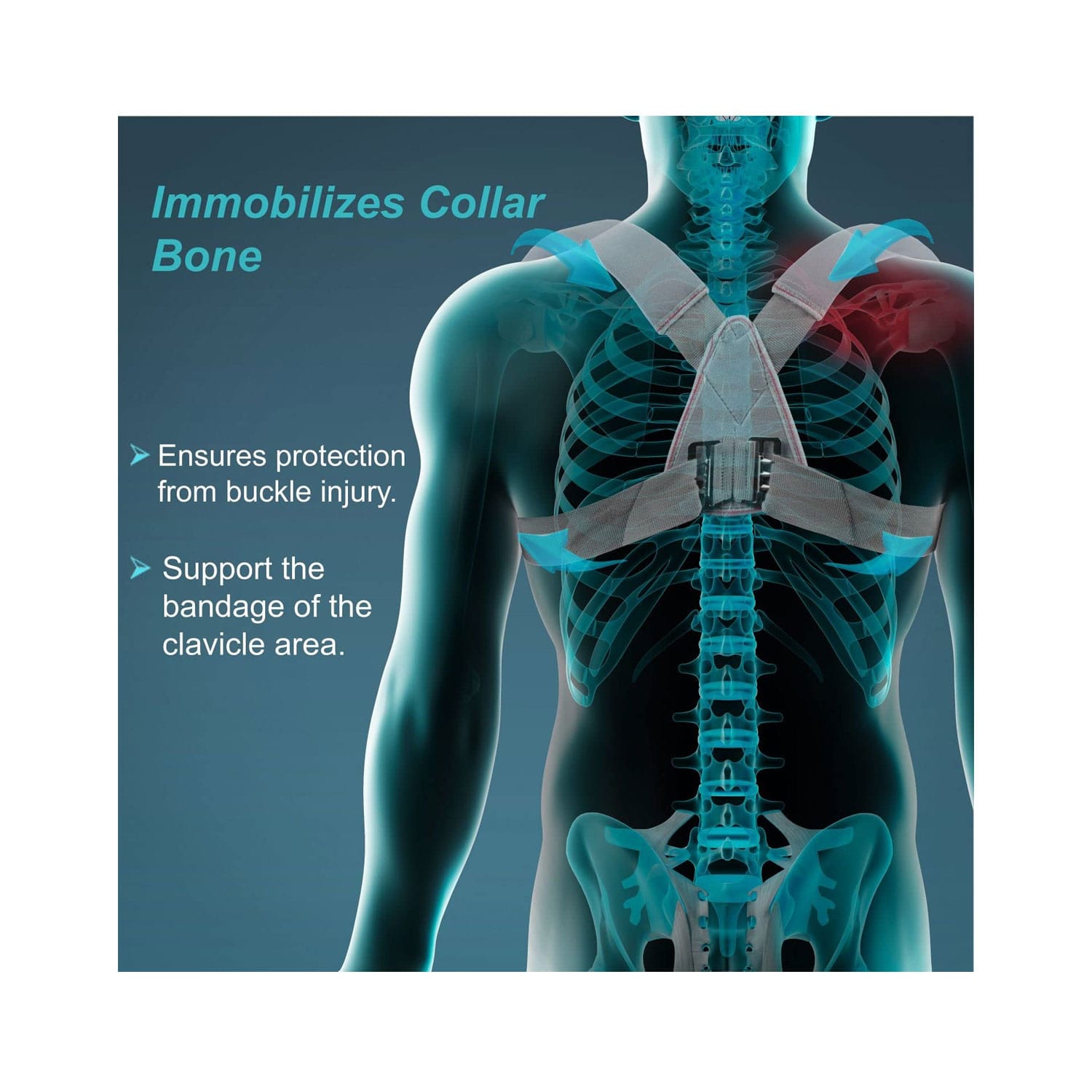 Tynor Clavicle Brace with Buckle Medium C-04