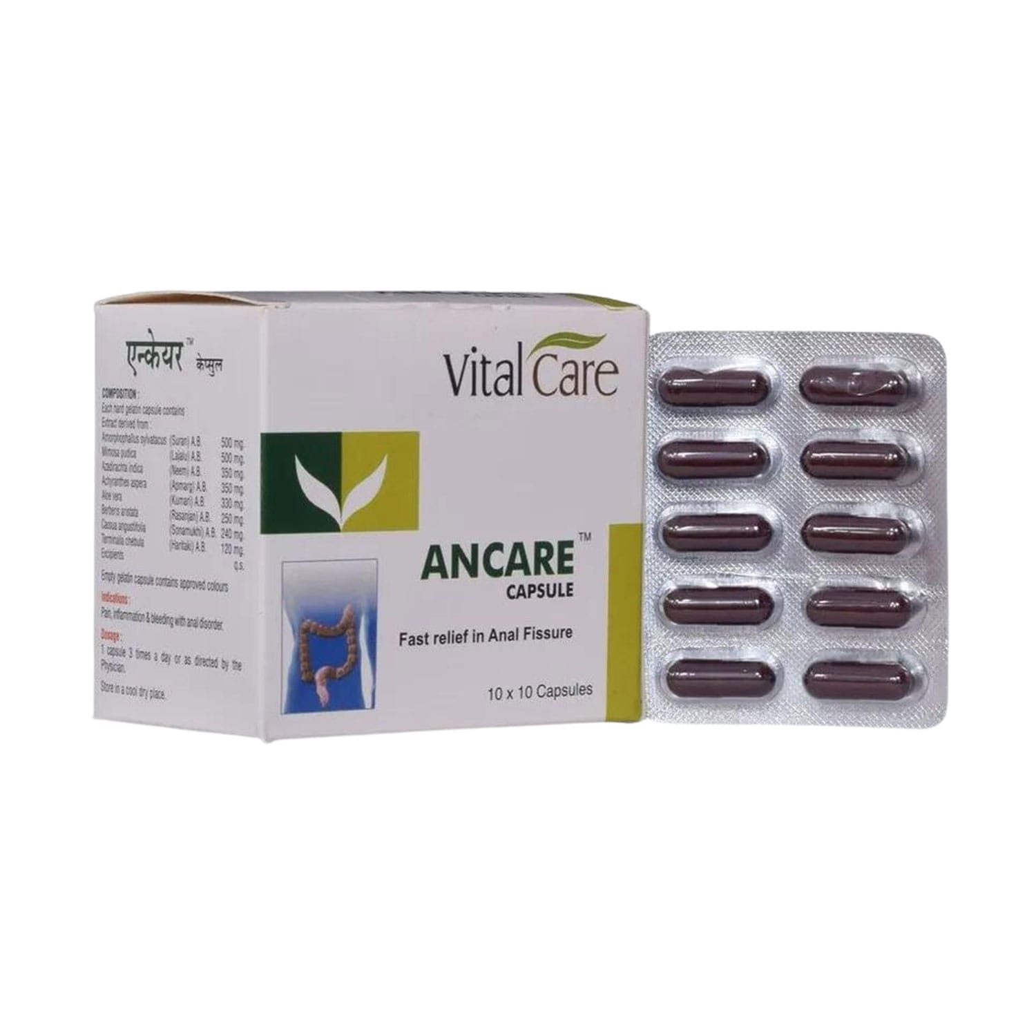 Vital Care Ancare Capsule Ayurvedic Medicine for Piles (10x10 capsules)