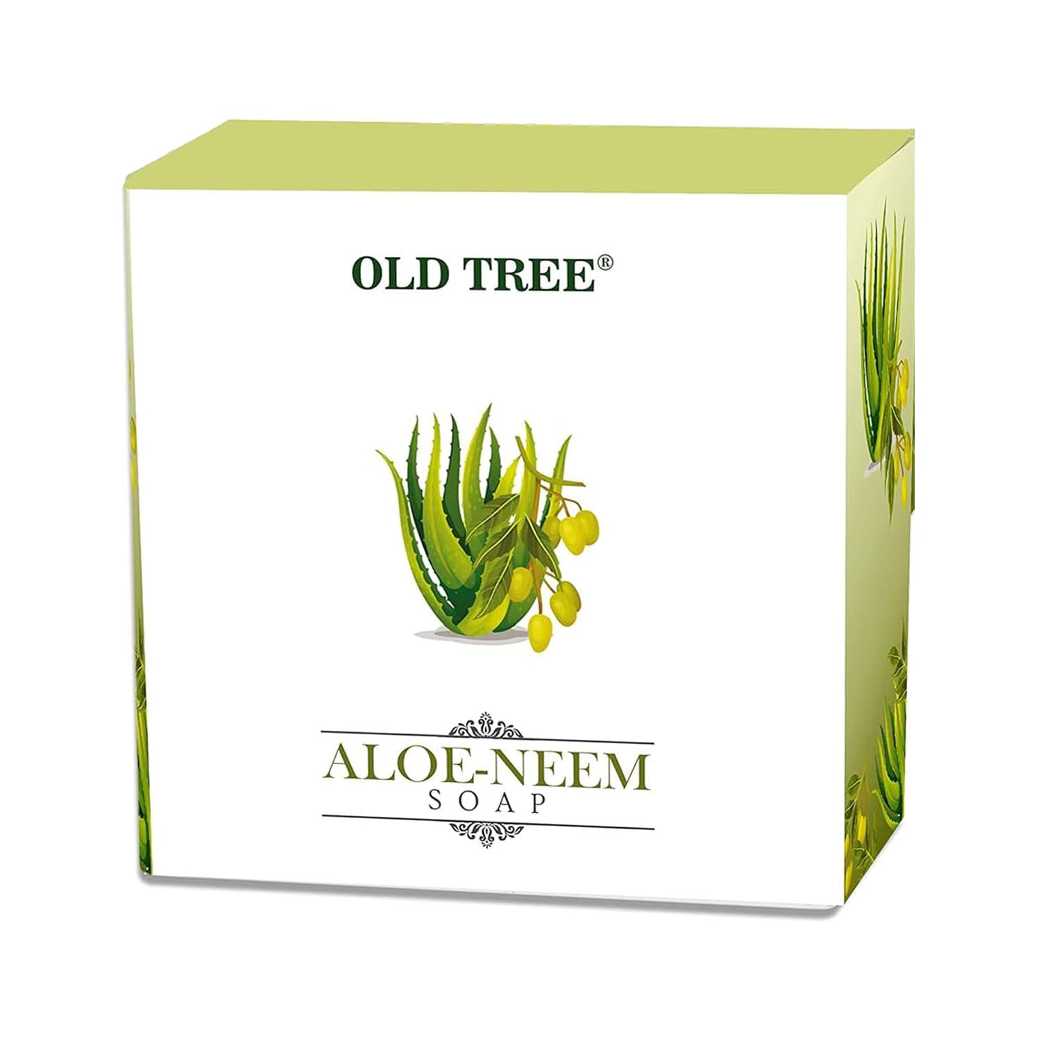 Wellness Agro Aloe Vera Neem Tulsi Herbal Soap - 75g