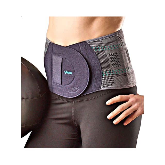 Aspen Lumbar Support Universal
