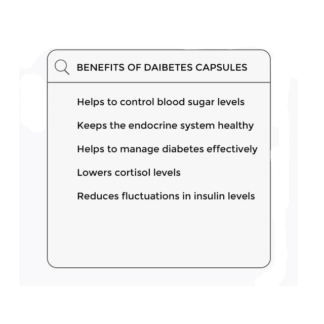 Sangsara Diabetes- 60 Capsules
